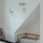 Maestrale شقة